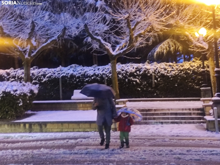 Soria nevada. 