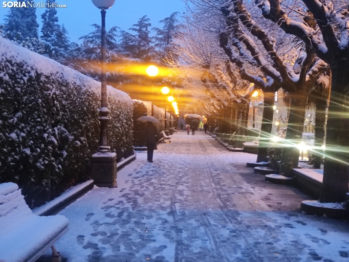 Soria nevada. 