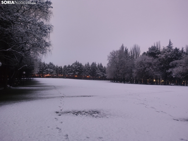 Soria nevada. 