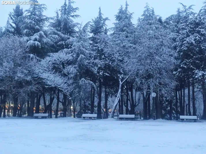 Soria nevada. 
