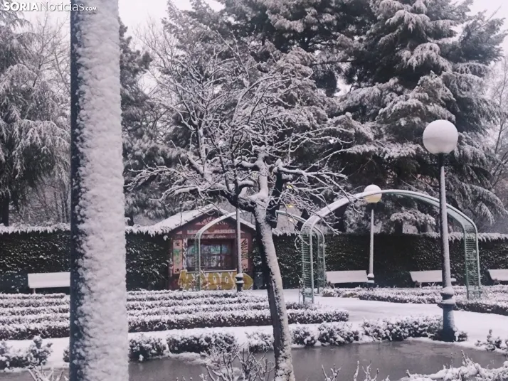 Soria nevada. 
