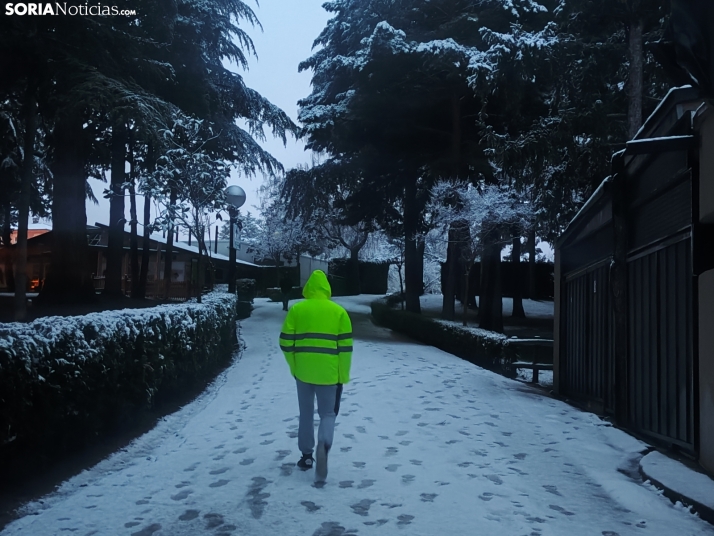 Soria nevada. 