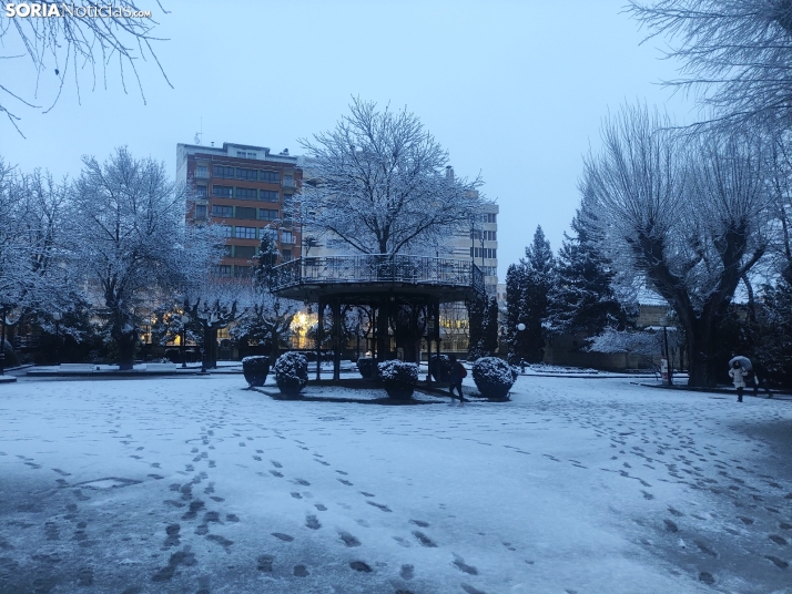 Soria nevada. 