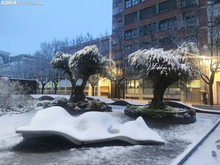 Soria nevada. 