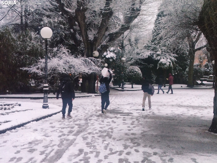 Soria nevada. 