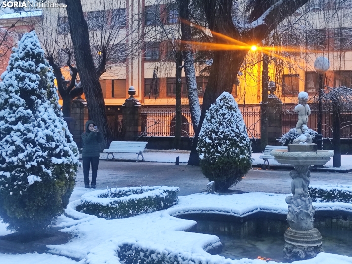 Soria nevada. 