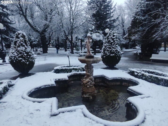 Soria nevada. 