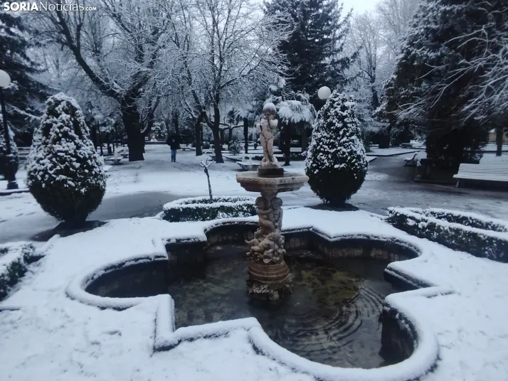 Soria nevada. 