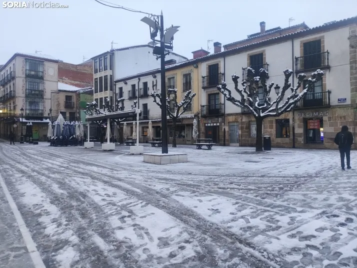 Soria nevada. 
