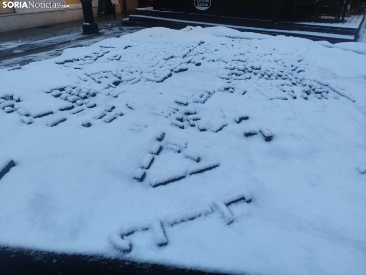 Soria nevada. 