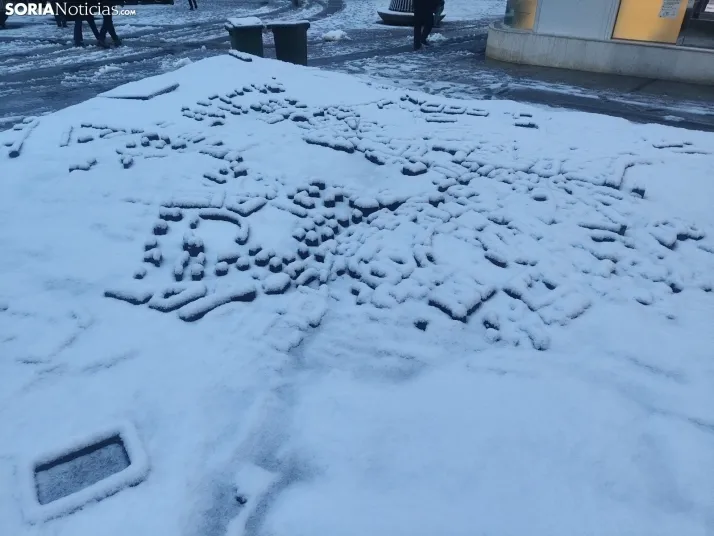 Soria nevada. 