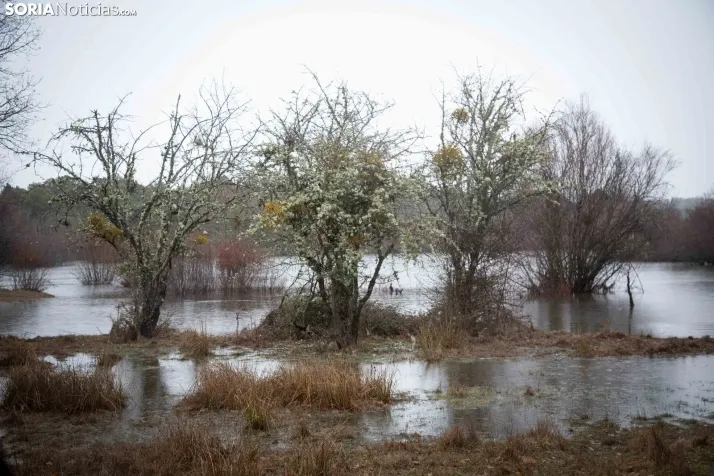 Lluvias en febrero de 2026