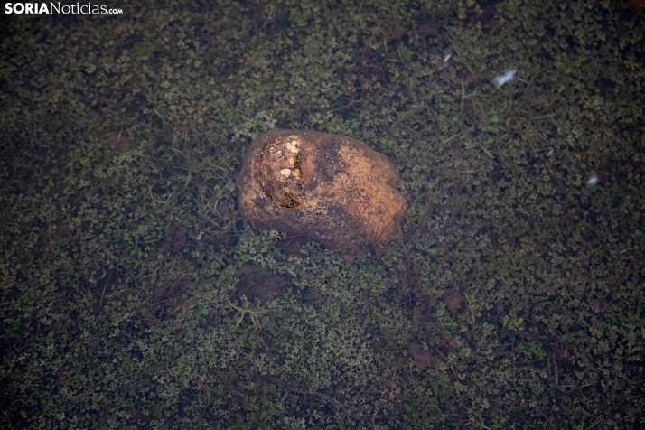 Lluvias en febrero de 2026