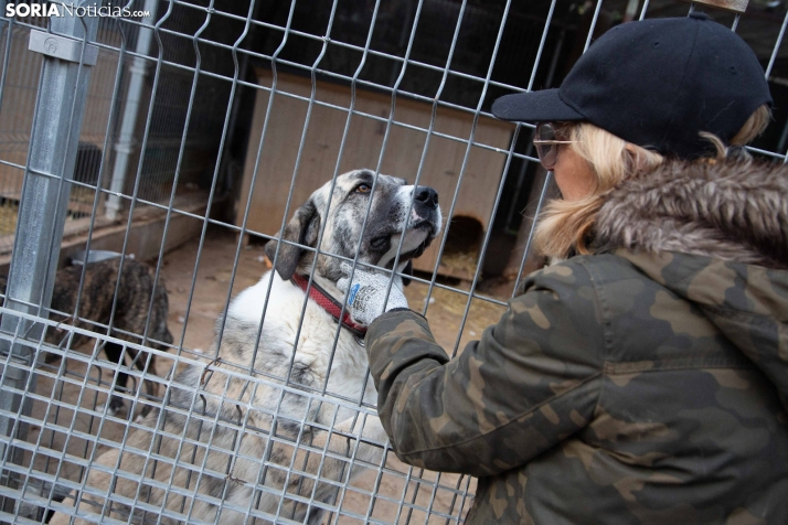 El Refugio Redención lanza un SOS ante un centro que se cae a pedazos