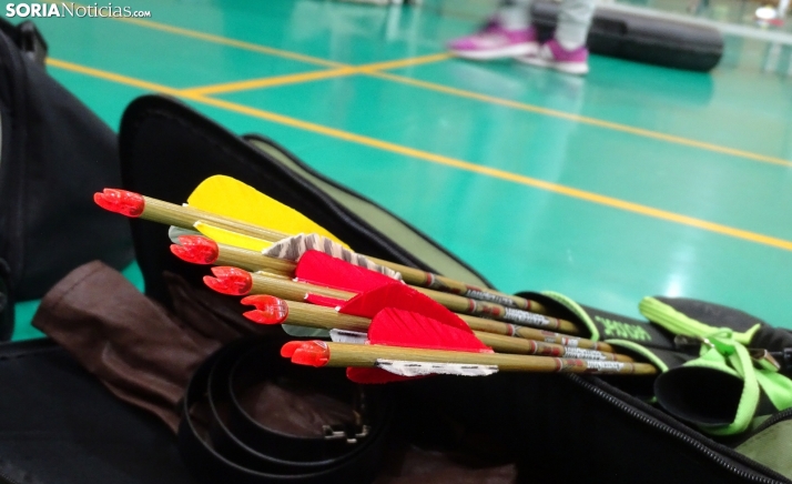 Dos deportistas tecnificarán en Soria esta temporada en Tiro Olímpico