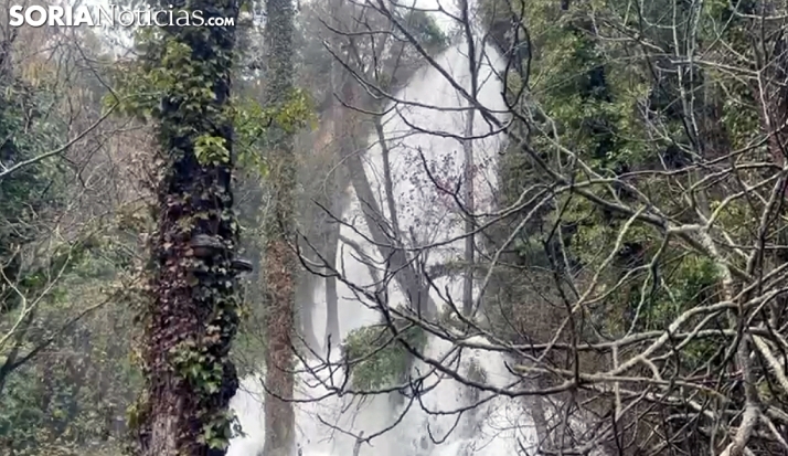 GALERÍA | Las lluvias de Francis reviven La Toba