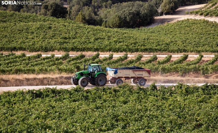 Un pozo de 225 metros alimentará el nuevo viñedo de regadío en Langa de Duero