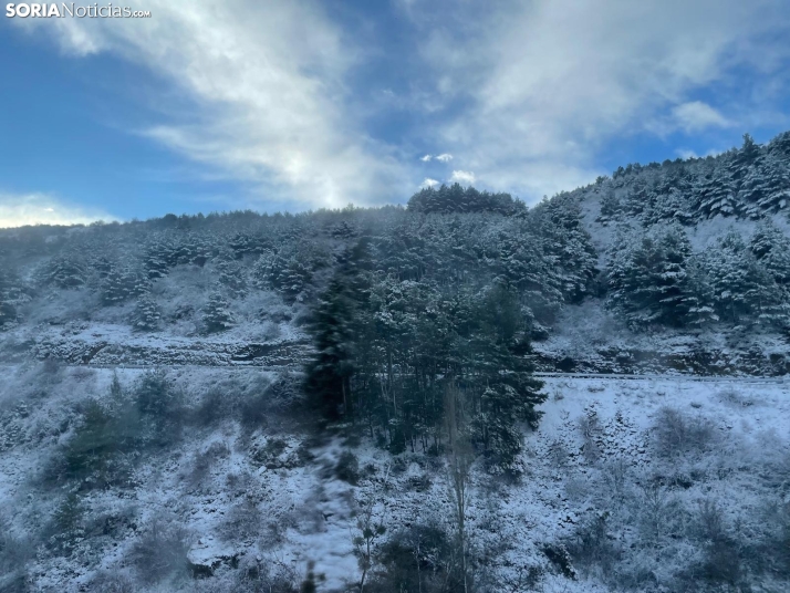 Una imagen de Francis en la provincia. /SN