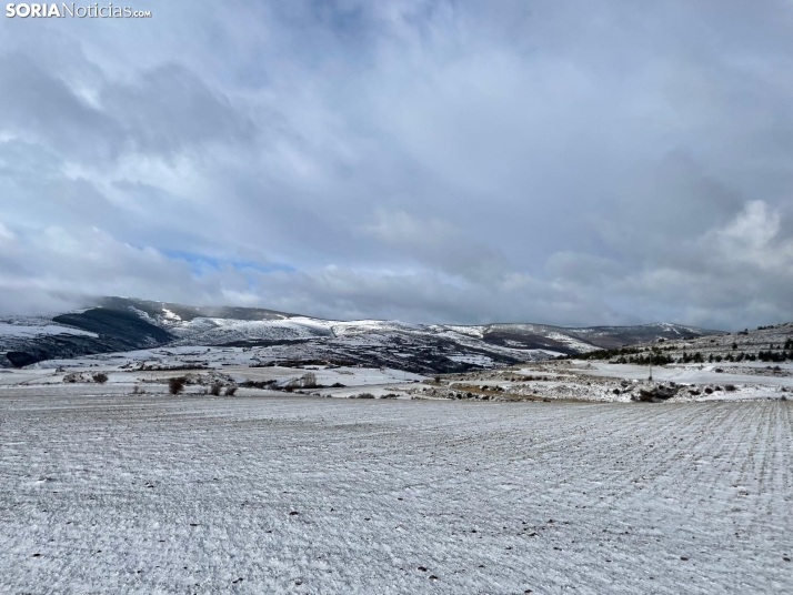 Una imagen de Francis en la provincia. /SN