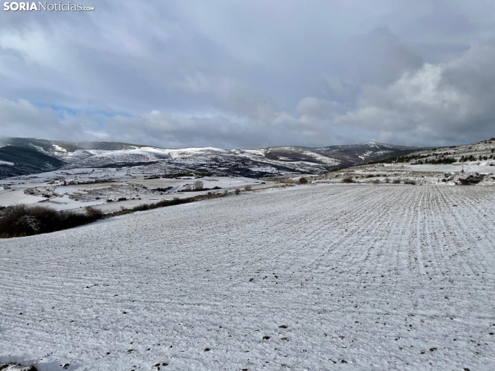 Una imagen de Francis en la provincia. /SN