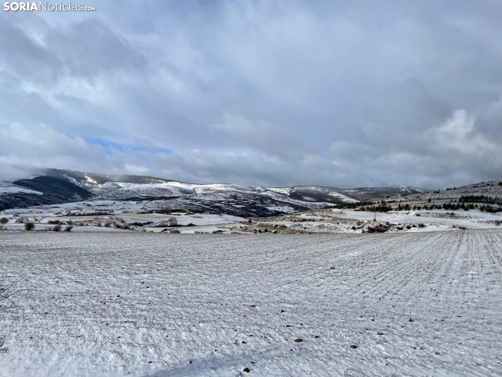 Una imagen de Francis en la provincia. /SN