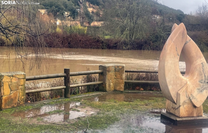 Imágenes del Duero a su paso por la capital soriana. /SN