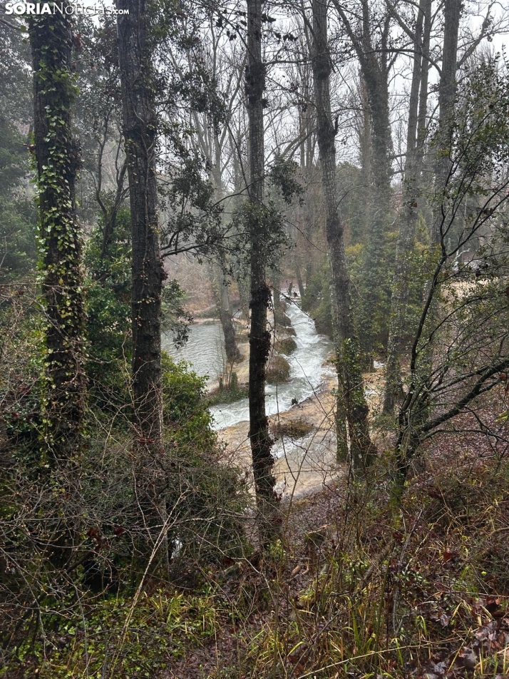 Una imagen de La Toba hoy. /SN