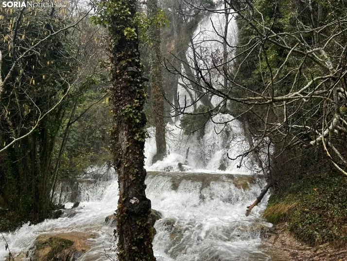 Una imagen de La Toba hoy. /SN