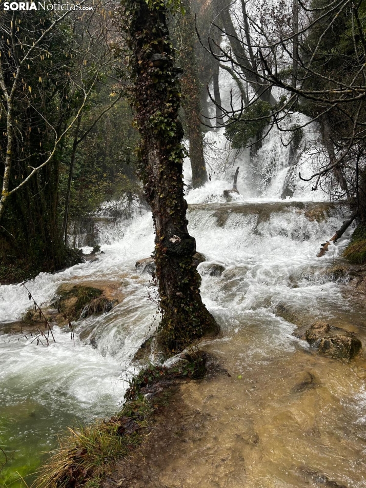 Una imagen de La Toba hoy. /SN