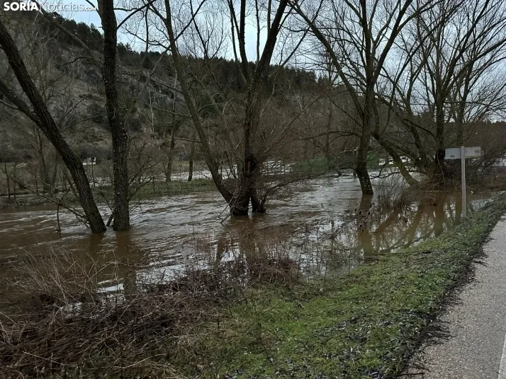 MINI GALER&Iacute;A | El agua se apodera del Ca&ntilde;&oacute;n del R&iacute;o Lobos e inunda Arganza