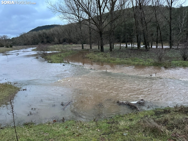 MINI GALER&Iacute;A | El agua se apodera del Ca&ntilde;&oacute;n del R&iacute;o Lobos e inunda Arganza