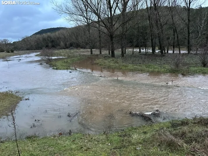 MINI GALER&Iacute;A | El agua se apodera del Ca&ntilde;&oacute;n del R&iacute;o Lobos e inunda Arganza