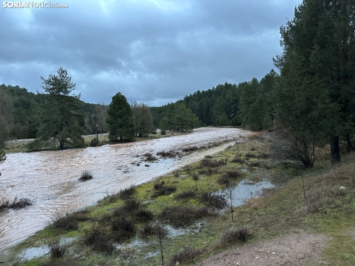 MINI GALER&Iacute;A | El agua se apodera del Ca&ntilde;&oacute;n del R&iacute;o Lobos e inunda Arganza
