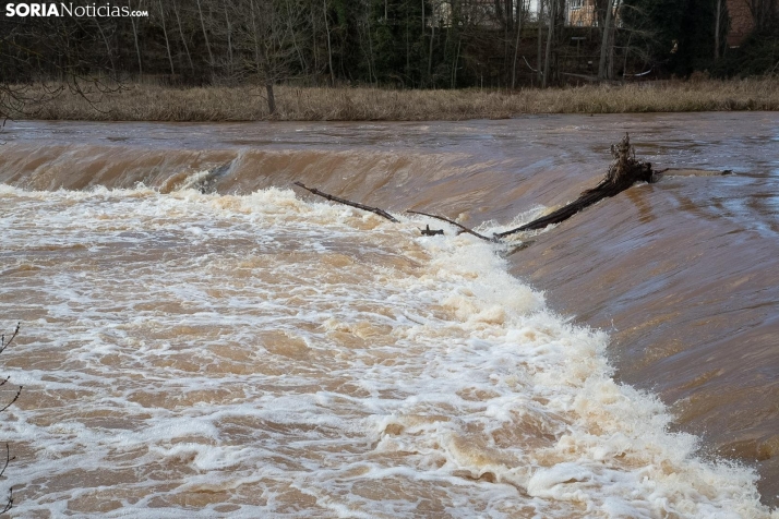 Una imagen del Duero hoy. /María Ferrer
