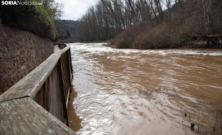 GALERÍA | Un Duero crecido anega sus márgenes en Soria y Garray