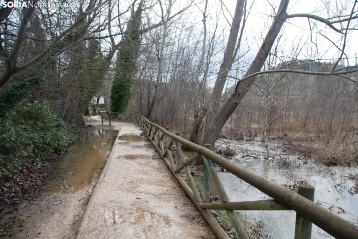 Una imagen del Duero hoy. /María Ferrer