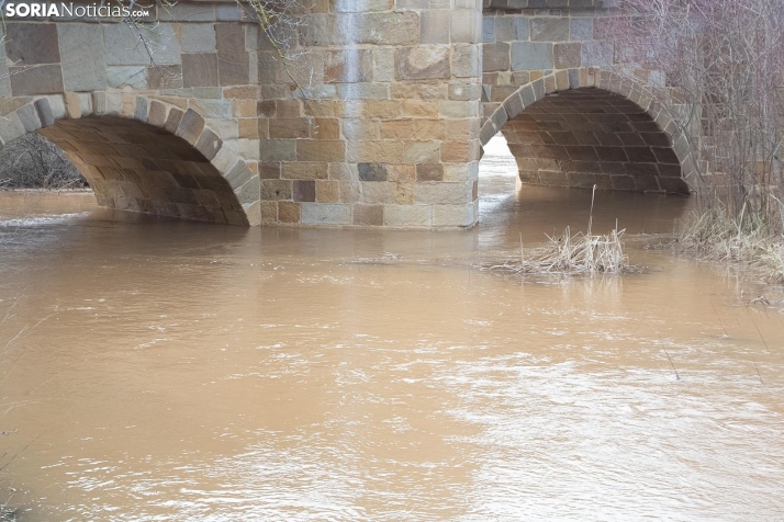 Una imagen del Duero hoy. /María Ferrer