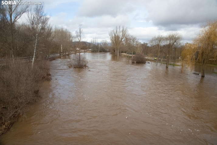 Una imagen del Duero hoy. /María Ferrer