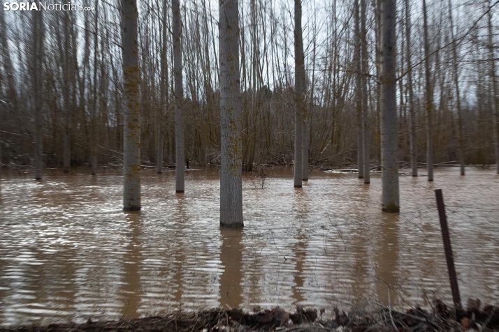 Una imagen del Duero hoy. /María Ferrer