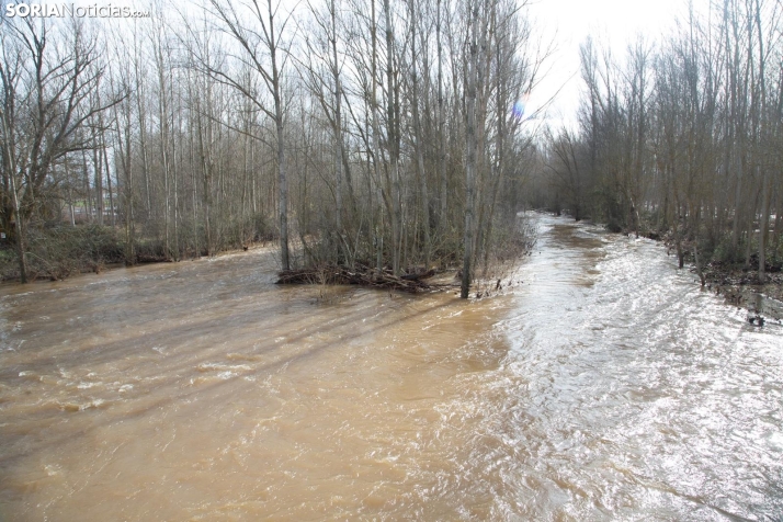 Una imagen del Duero hoy. /María Ferrer