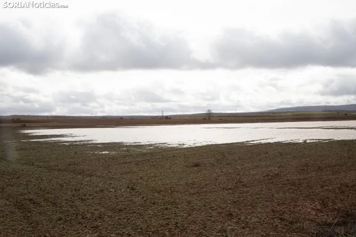 Una imagen del Duero hoy. /María Ferrer