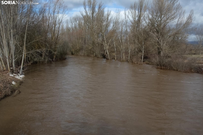 Una imagen del Duero hoy. /María Ferrer