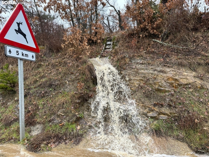 GALER&Iacute;A | As&iacute; est&aacute;n afectando las inundaciones a Salduero y Molinos de Duero