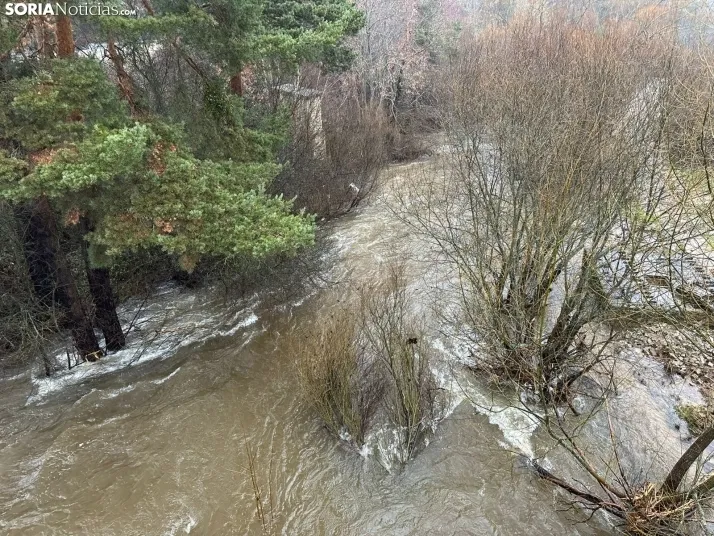 GALER&Iacute;A | As&iacute; est&aacute;n afectando las inundaciones a Salduero y Molinos de Duero