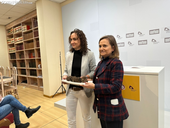 Subastas, cocina en directo y expositores con las mejores trufas de España: Llega la XXIII Feria de la Trufa Negra de Soria