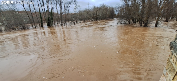Una imagen este mediodía del entorno del Duero en San Esteban. /PC