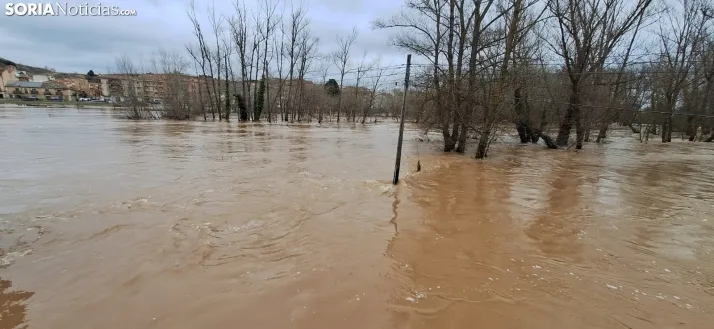 Una imagen este mediodía del entorno del Duero en San Esteban. /PC
