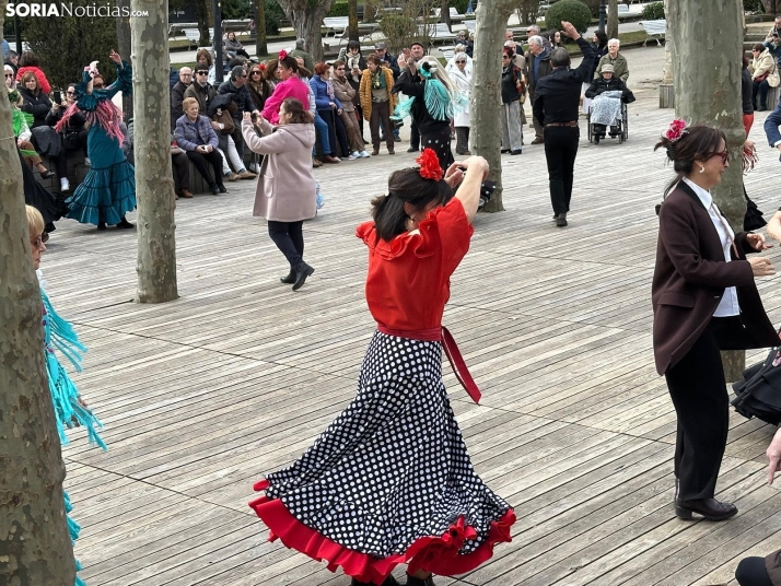 Soria celebra el D&iacute;a de Andaluc&iacute;a con sevillanas en la Dehesa