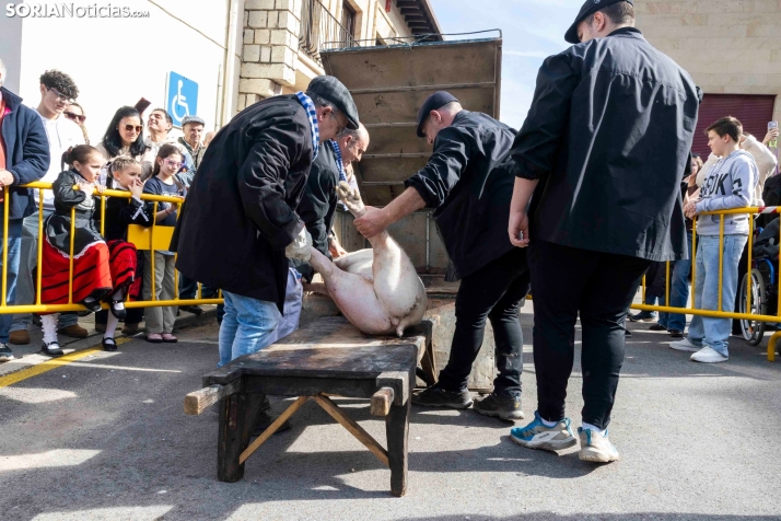 Matanza San Leonardo./ Viksar Fotografía