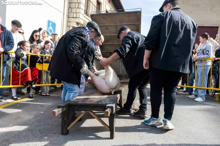 Matanza San Leonardo./ Viksar Fotografía